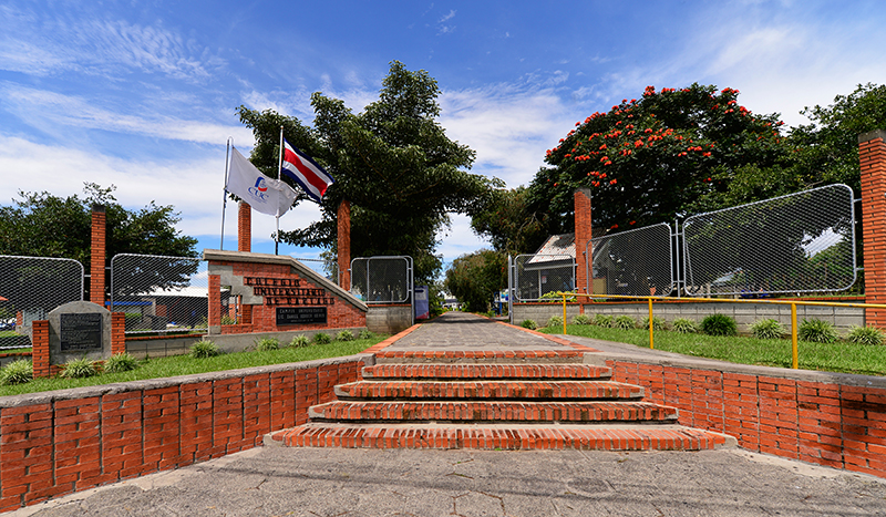 university